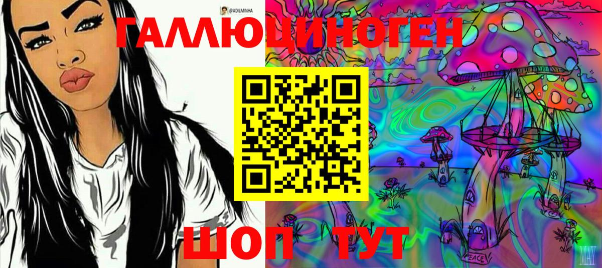 Галлюциногенные грибы Cubensis  Вход с VPN  Мариинск 