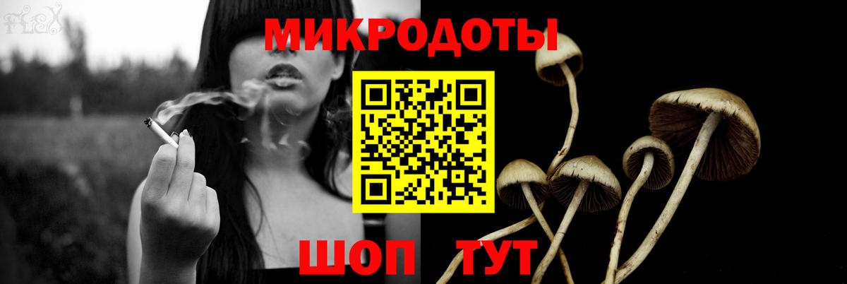 Псилоцибиновые грибы Psilocybine cubensis Мариинск